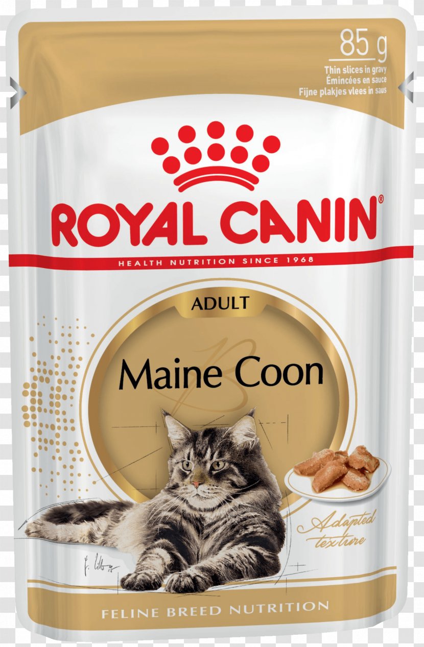 Royal Canin Maine Coon Dry Cat Food Dog - Orijen Transparent PNG