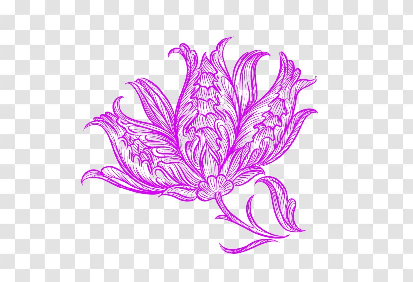 Petal Illustration - Leaf - Floral Pattern Transparent PNG