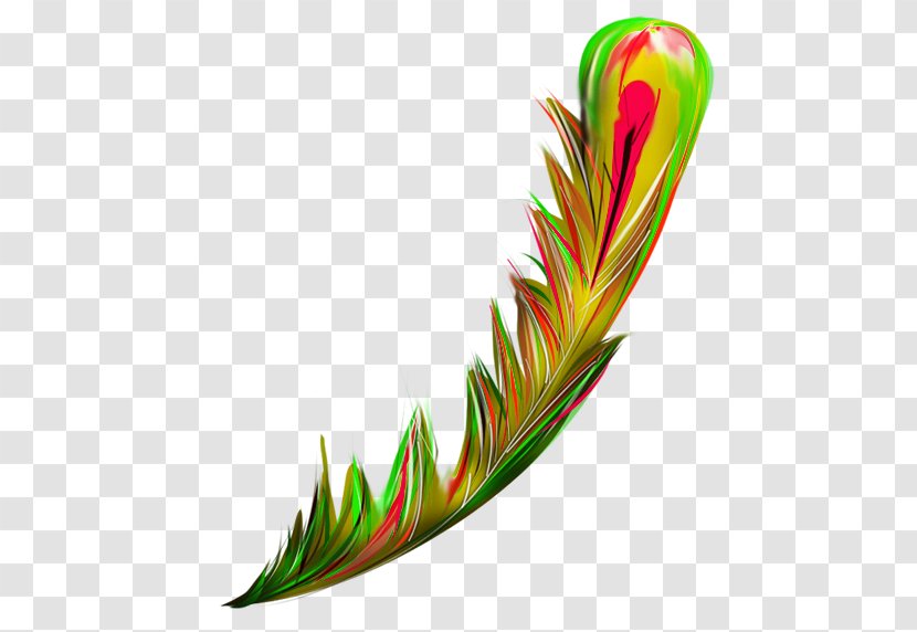 Bird Feather Green Euclidean Vector - Leaf - Fresh Decorative Patterns Transparent PNG