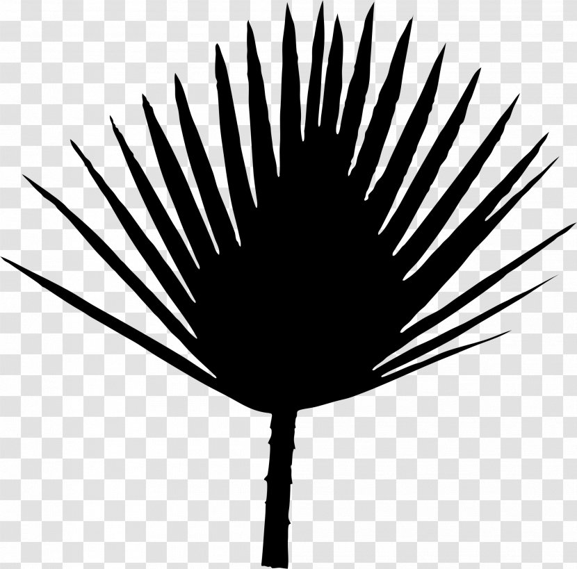 Font Line Silhouette Palm Trees Leaf - Blackandwhite Transparent PNG