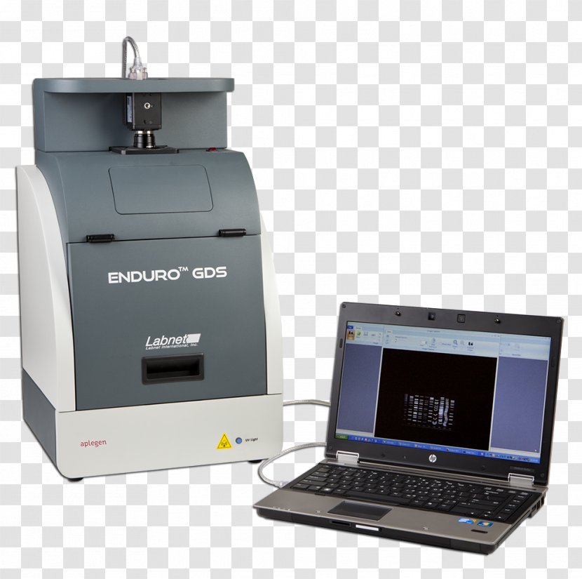 Gel Electrophoresis Polymerase Chain Reaction Agarose - Of Nucleic Acids - Biological Medicine Catalogue Transparent PNG