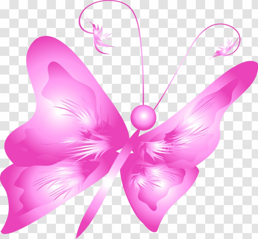 Butterfly Drawing Clip Art - Flower Transparent PNG