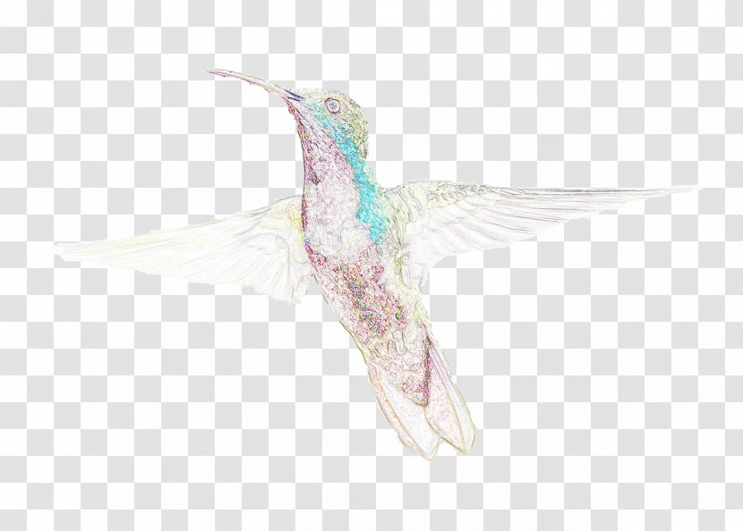 Hummingbird Watercolor Painting - Wing Transparent PNG