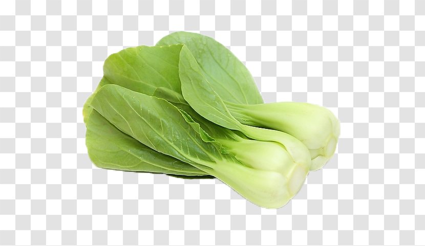 Bok Choy Vegetable U4e0au6d77u767du83dc Napa Cabbage Allium Fistulosum - Lettuce Transparent PNG