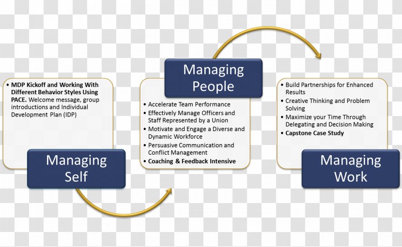 Management Development Human Resource Resources Training - Self-awareness Transparent PNG