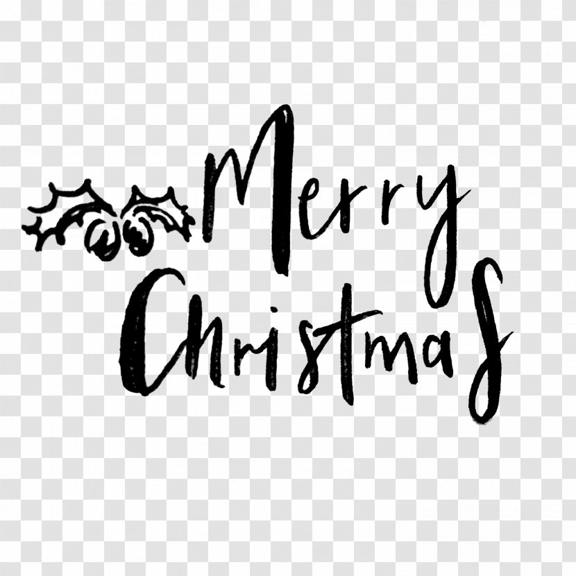 Calligraphy Handwriting Monochrome Photography Logo Font - Black - Christmas Posters Transparent PNG