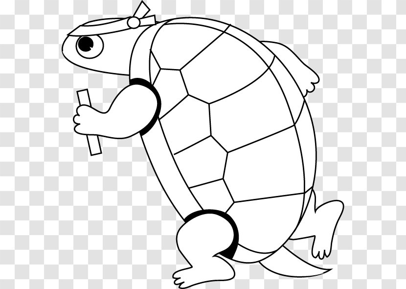 Drawing Turtle Line Art - Tree - Tortoide Transparent PNG