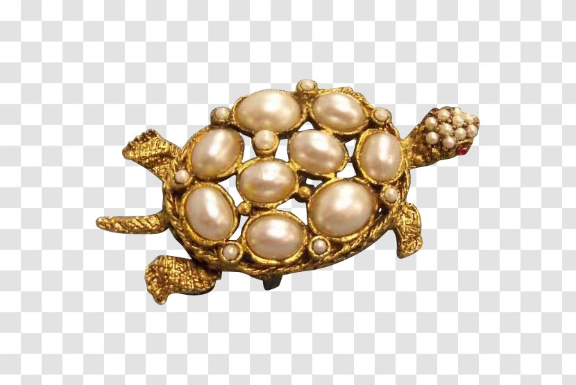 Brooch Tortoise Pond Turtles Body Jewellery Gemstone - Vintage Peacock Transparent PNG
