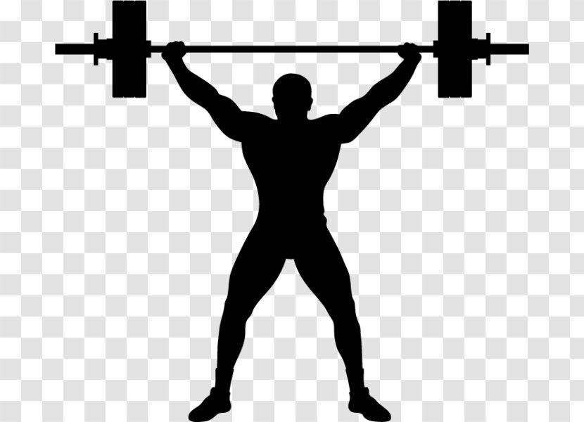 Olympic Weightlifting Weight Training Squat Clip Art - Cartoon - Cowboys Gym Lose 12 Inches Program Transparent PNG