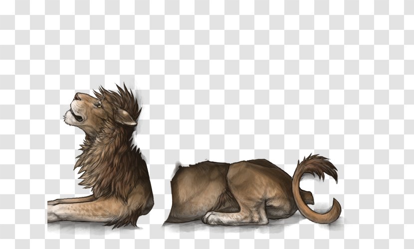 Lion Cat Cougar African Wild Dog Felidae - Marozi Transparent PNG
