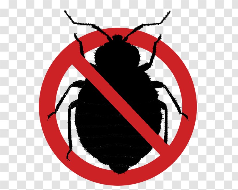 Bedbug Insect Bed Frame Bug Bite - Black And White - Elimination Of Blood Germs Transparent PNG