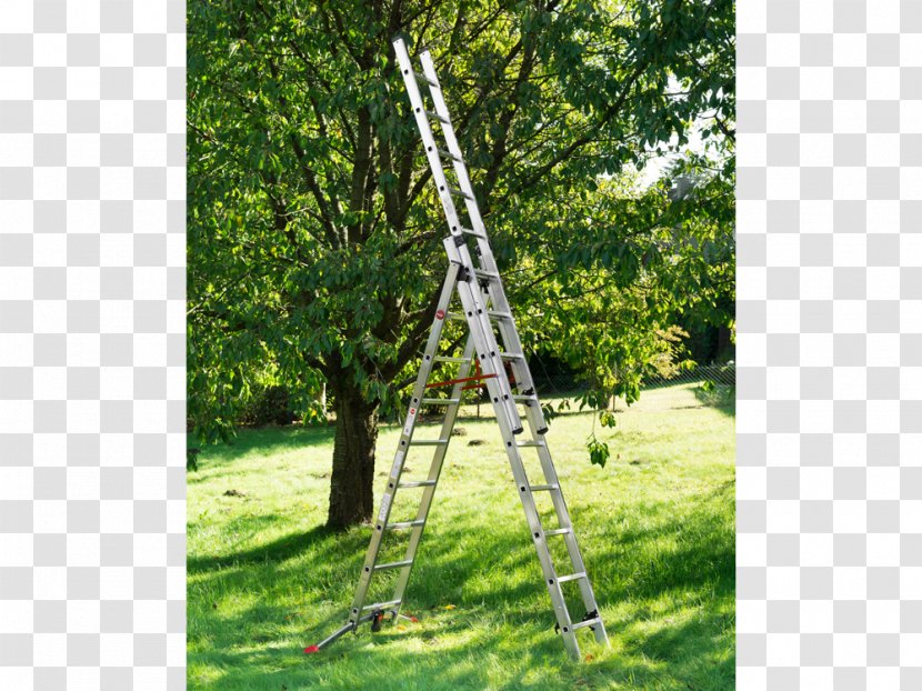 Hailo Combi Ladder 3 Section Capacity 150kg Rungs And Garden Ice Scrapers & Snow Brushes Tree - Magazine Transparent PNG