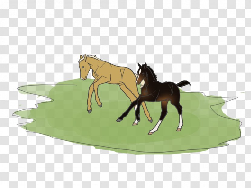 Mustang Foal Mare Stallion Colt - Horse Supplies - Show Shots Fired Transparent PNG