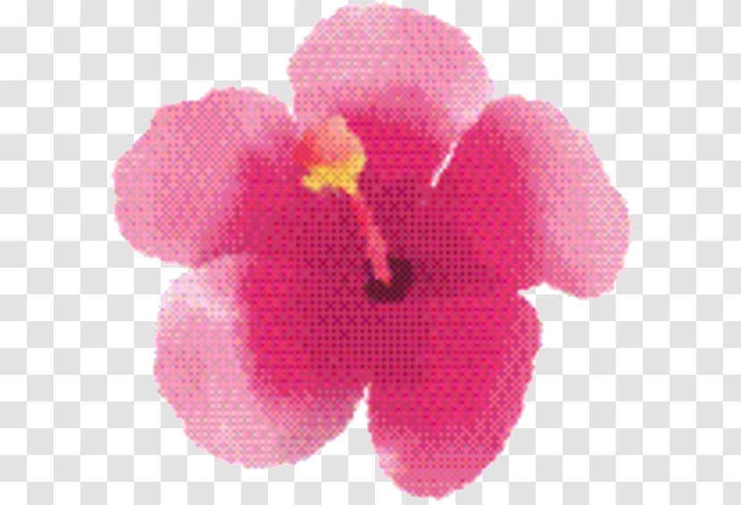 Pink Flower Cartoon - Mallow Family - Iris Transparent PNG