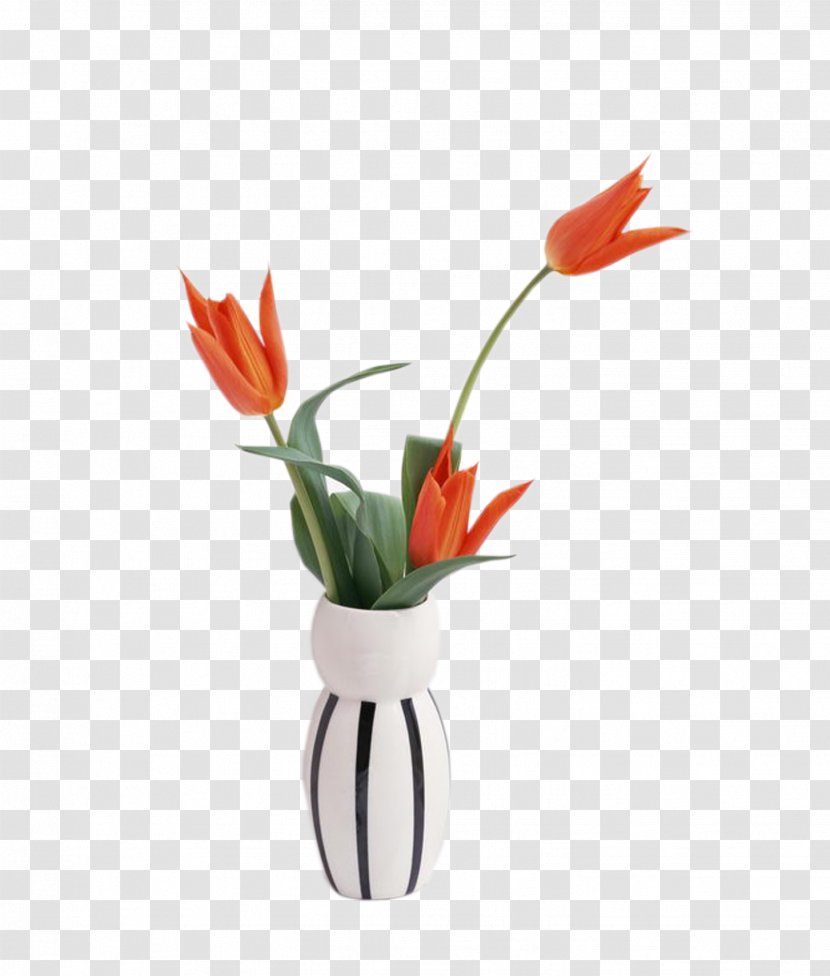 High-definition Television Display Resolution 4K 1080p Wallpaper - Flowering Plant - Vase Transparent PNG