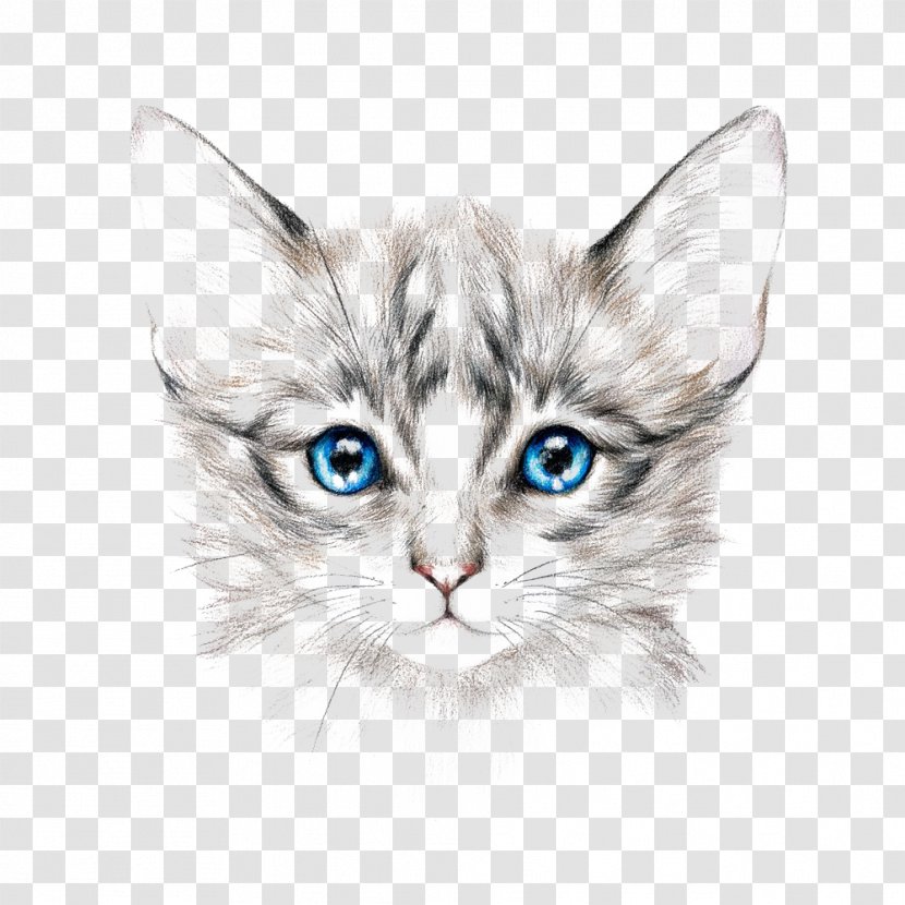 Cat Royalty-free Drawing Painting Art - Royaltyfree - Painted Transparent PNG
