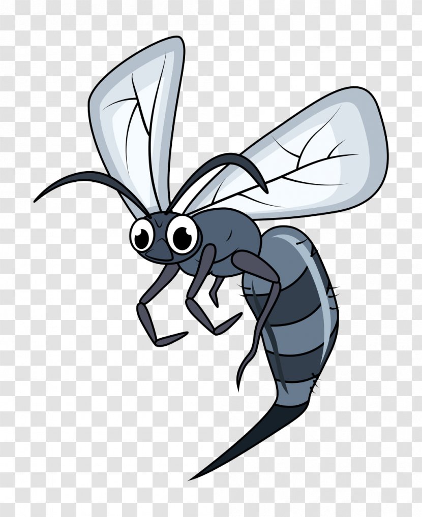 Insect Mosquito Bee Drawing - Organism - Cartoon Transparent PNG