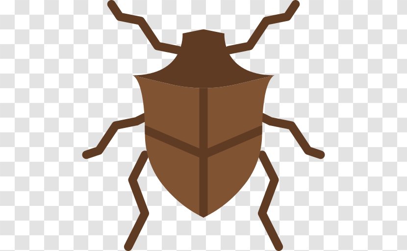 Bug Silhouette Beetle - Weevil - Arthropod Transparent PNG