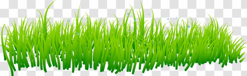 Grass Lawn - Vecteur Transparent PNG