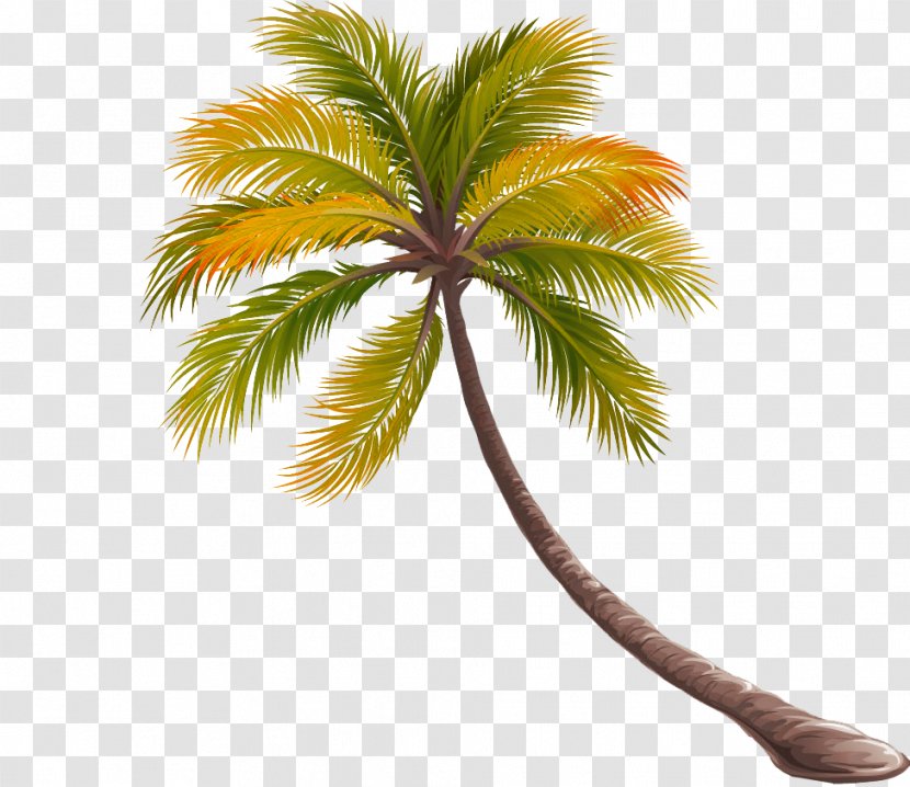 Cajxf3n Musical Instrument Place Charmant - Flower - Bent Coconut Tree Picture Material Transparent PNG