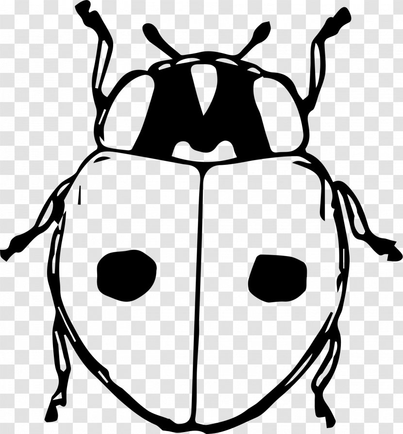 Beetle Ladybird Black And White Animal Clip Art - Line Transparent PNG