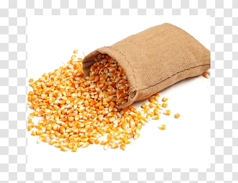 Maize Animal Feed Food Cornmeal - Commodity - Bagged Corn Transparent PNG