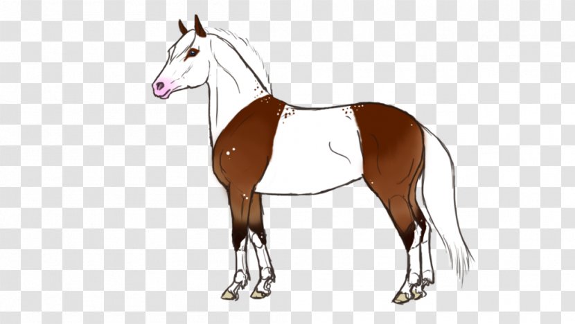 Foal Mane Stallion Horse Mare Transparent PNG