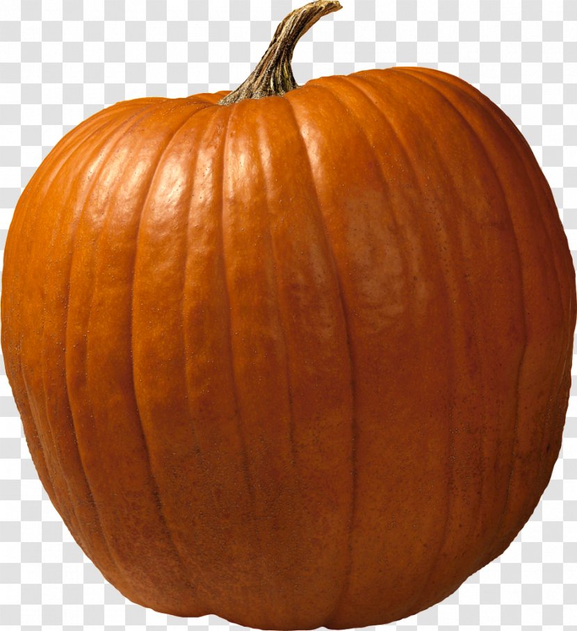 Los Angeles Dodgers Cucurbita Maxima Jack-o'-lantern Pumpkin Carving - Orange - Acorn Squash Transparent PNG