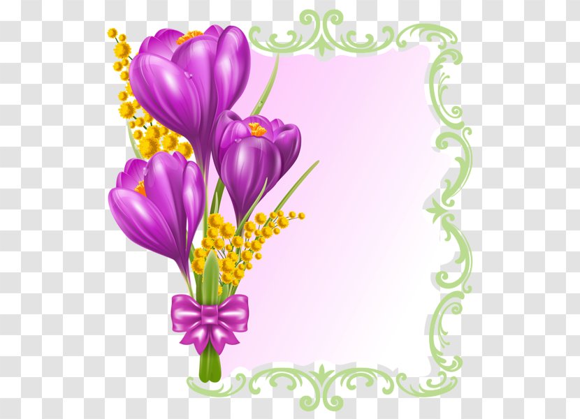 Borders And Frames Picture Best Clip Art - Flowering Plant - Sprin Transparent PNG