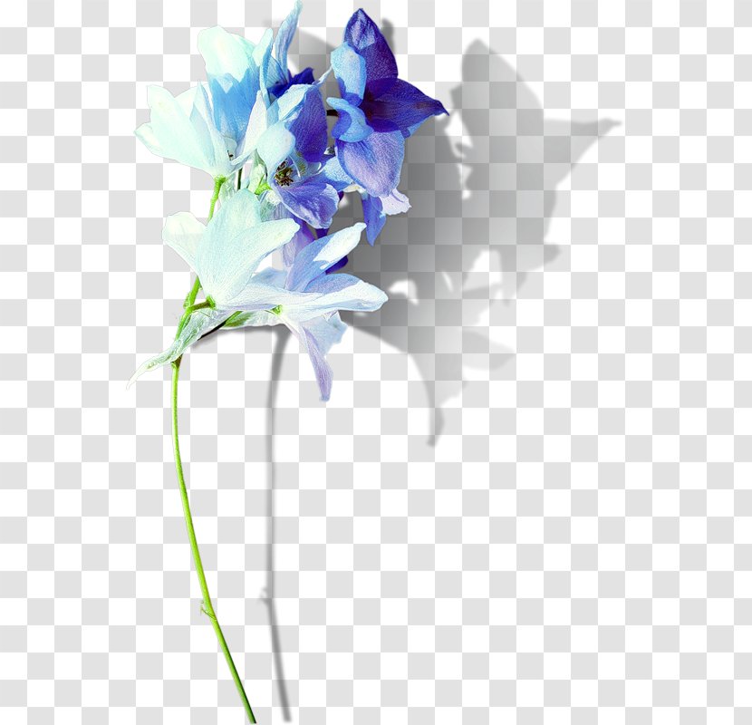 Floral Design Cut Flowers Flower Bouquet Artificial - Violet Transparent PNG