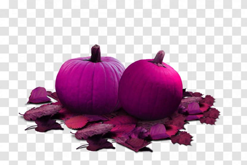 Jps Berry And Pumpkin Patch Halloween Clip Art - Squash - Rose Red Transparent PNG