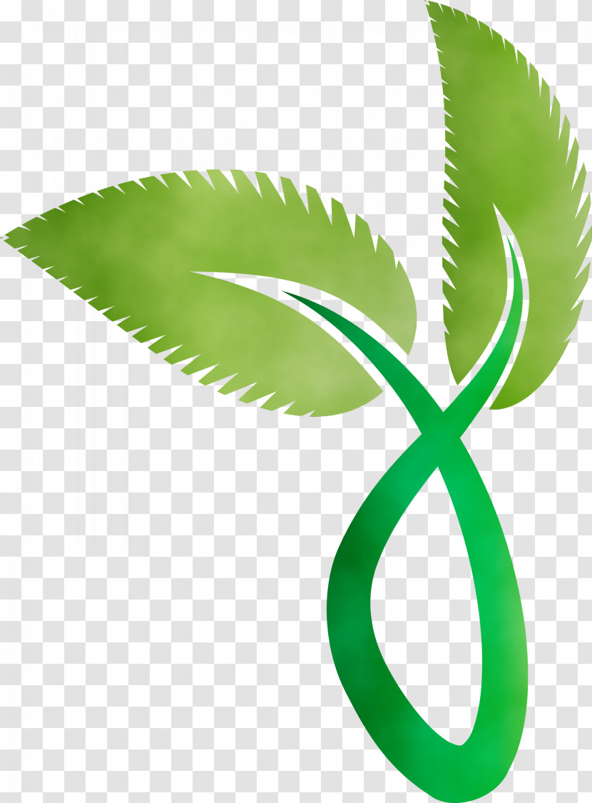 Leaf Plant Stem Green Meter Plants Transparent PNG