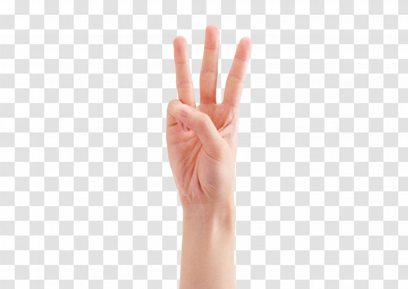 Thumb Hand Model Gesture - Finger - Three Fingers Transparent PNG