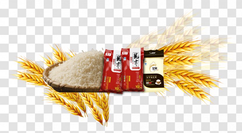 Rice Gadu Common Wheat Barley - Commodity - Paddy Transparent PNG