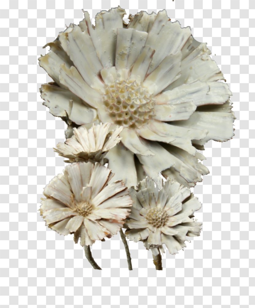 Cut Flowers Petal - Feast Of Saint Patrick 2019 Transparent PNG