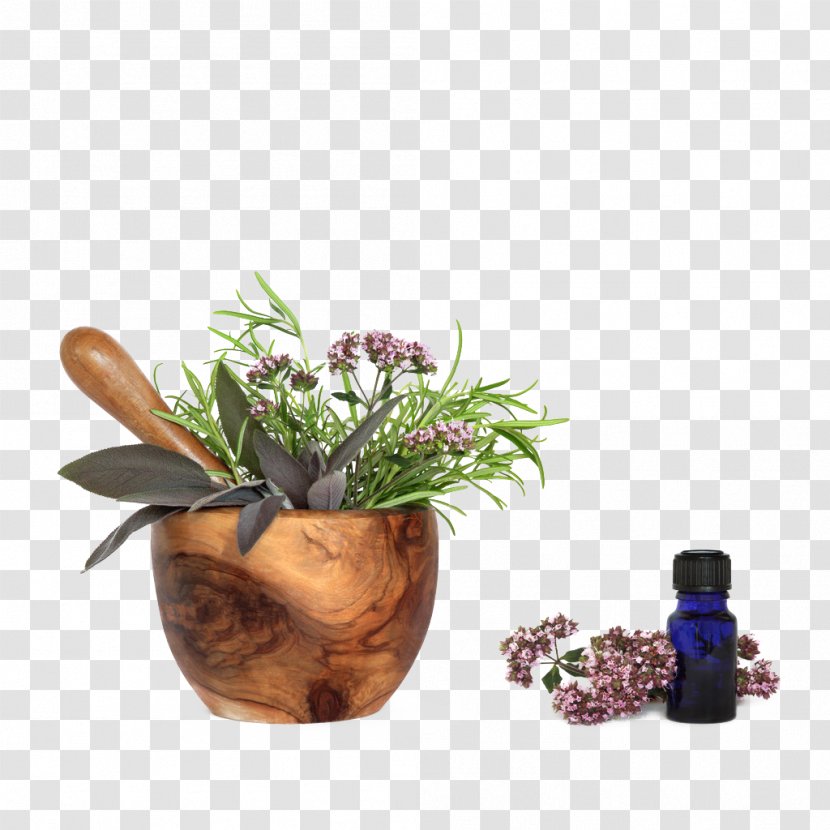 Lotion Herb Natural Skin Care - Ceramic - Vanilla Essence Transparent PNG