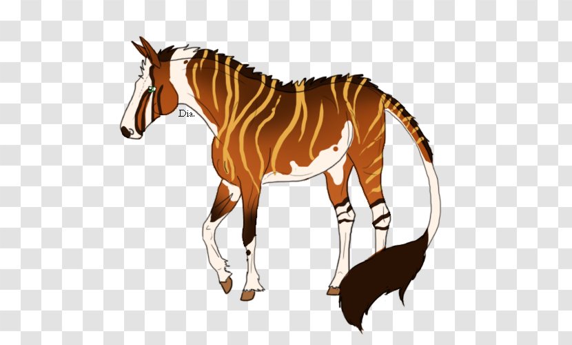 Foal Stallion Mare Colt Mustang - Bridle Transparent PNG