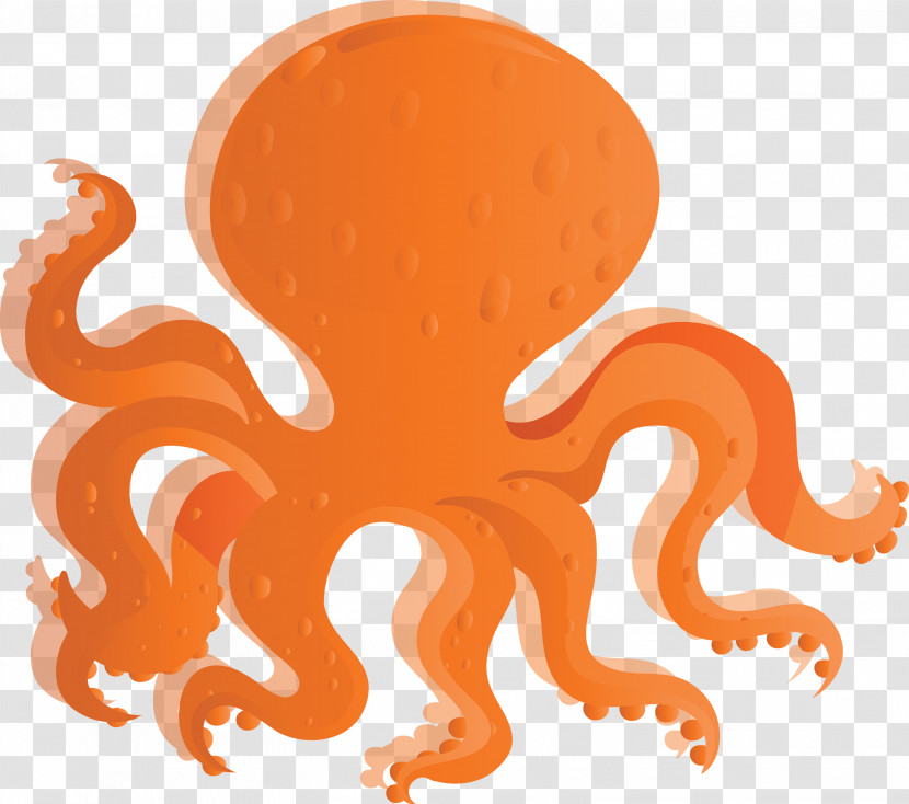 Orange Transparent PNG