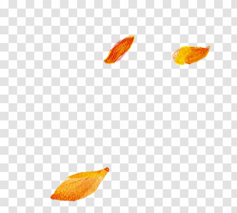 Leaf Sky Pattern - Petal - Falling Leaves Transparent PNG
