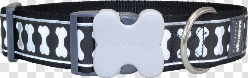 Dingo Dog Collar Leash Pet - Body Jewelry Transparent PNG