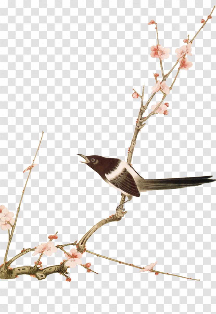 Bird-and-flower Painting Gongbi - Beak - Peach And Bird Transparent PNG