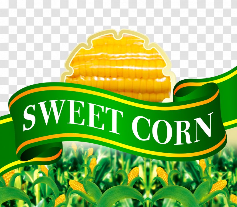 Waxy Corn On The Cob Maize Sweet - Brand - Green Transparent PNG