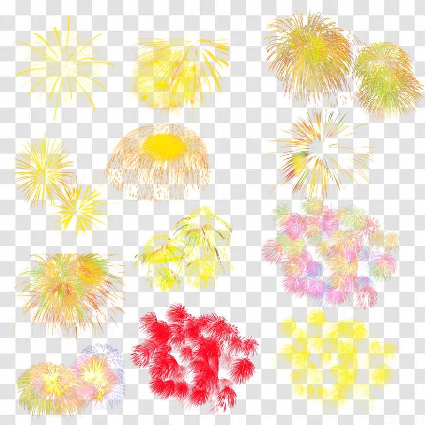 Fireworks Festival - Floristry - Celebration Transparent PNG
