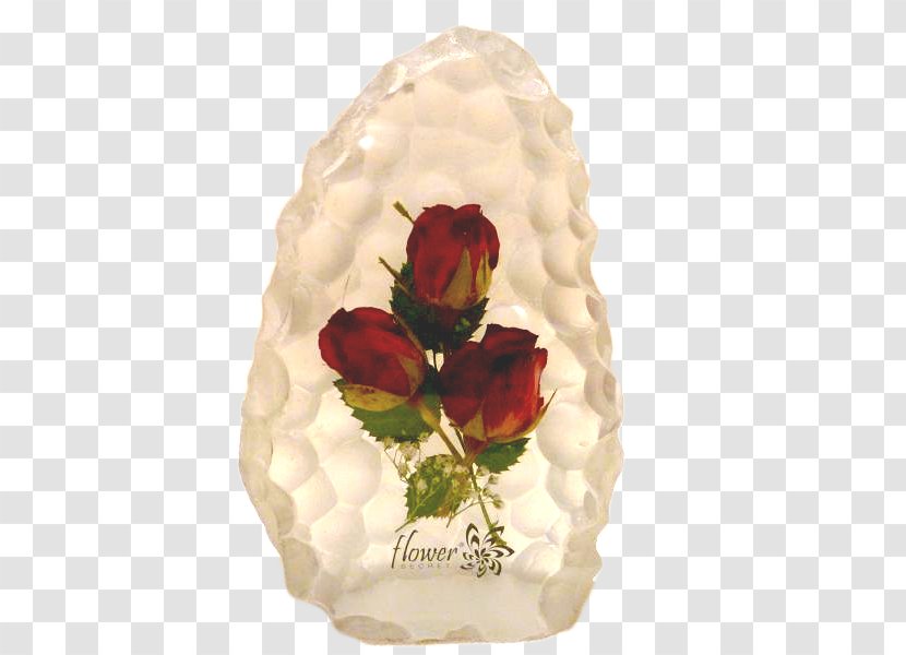 Vase Cut Flowers Petal - Rose Family Transparent PNG