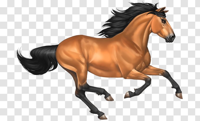 Mustang Buckskin - Pixel - Horse Image Transparent PNG