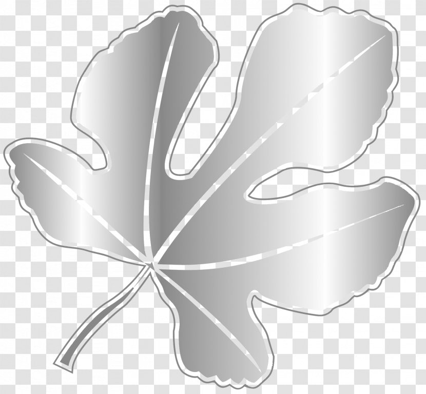 Fig Leaf Tree Flowering Plant - Vector Transparent PNG