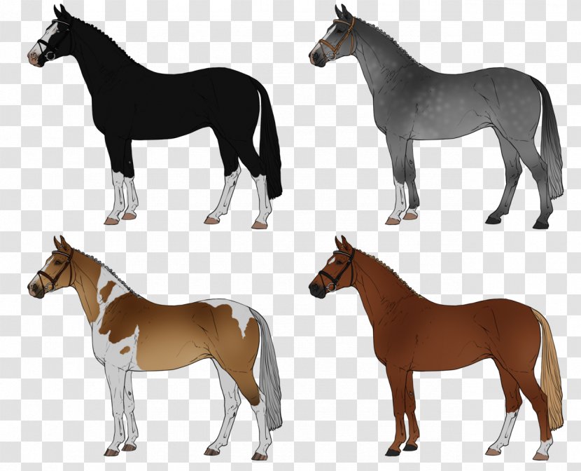 Mongolian Horse Pony Drawing - Silhouette - Warmblood Transparent PNG