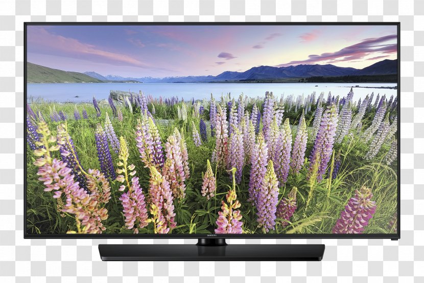 High-definition Television LED-backlit LCD 1080p Smart TV - 4k Resolution - Store Shelf Transparent PNG