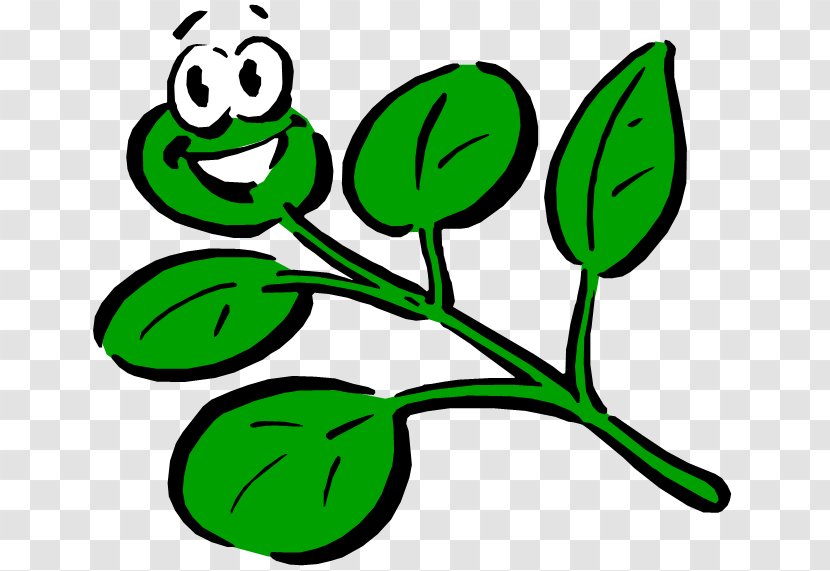 Plant Cartoon Drawing Clip Art - Artwork - Smiley Cliparts Transparent PNG