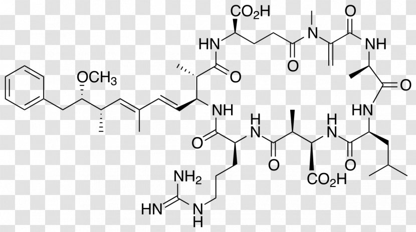 Microcystin Cyanotoxin Lyngbya Molecule Chemistry - Frame - Tin Transparent PNG